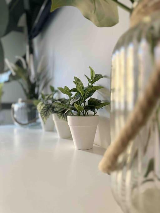 - Cabanyal Boutique Villa Valencia Exteriör bild